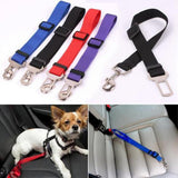 Small Pet Seat Belt for Car