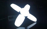 Ceiling Fans With Lights