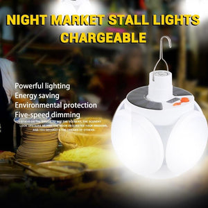 #1 Folding Ball LED Light